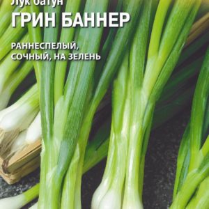 Лук батун Грин Баннер 0,2 г (Голландия) Н17