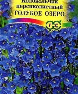 Колокольчик Голубое озеро, персиколистный* 0,1 г серия Русский богатырь Н18
