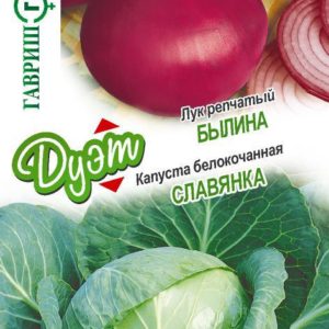 Капуста б/к Славянка 0,3 г+Лук репчатый Былина 0,5 г серия Дуэт Хорошие соседи Н18