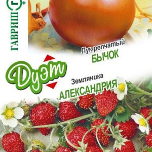 Лук репч. Бычок 0,5 г+Земляника Александрия 0,03 г серия Дуэт Хорошие соседи Н18