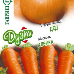 Лук репч. Дед 0,5 г + Морковь Аленка 2 г серия Дуэт Хорошие соседи Н18