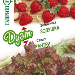 Салат Кантри 0,5 г+Земляника Золушка 0,03 г серия Дуэт Хорошие соседи Н18