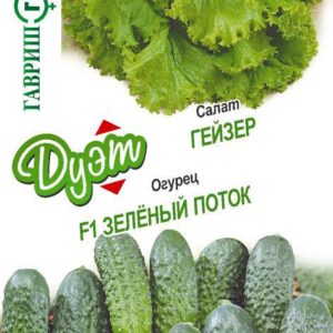 Салат Гейзер 0,5 г+Огурец Зеленый поток 0,3 г серия Дуэт Хорошие соседи Н18