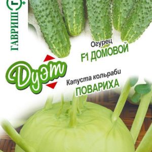Капуста кольраби Повариха 0,3 г + Огурец Домовой 0,3 г серия Дуэт Хорошие соседи
