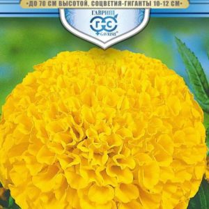 Бархатцы пр. Солнечный зайчик (Тагетес) 0,3 г, серия Русский богатырь Н18