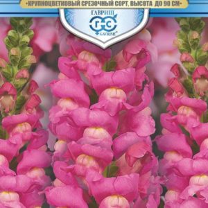 Львиный зев Розовый лев* 0,1 г, серия Русский богатырь Н18