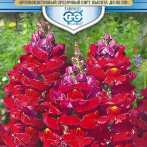 Львиный зев Красный лев* 0,1 г, серия Русский богатырь Н18