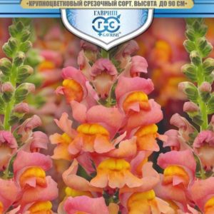 Львиный зев Золотой лев* 0,1 г, серия Русский богатырь Н18