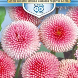 Маргаритка Пышка розовая * 5 шт. гранул. пробирка, серия Русский богатырь Н18