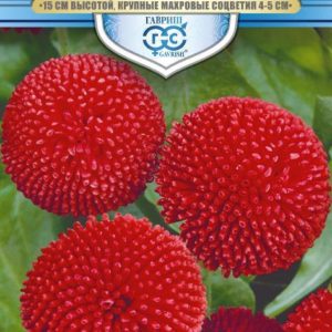 Маргаритка Пышка красная * 5 шт. гранул. пробирка, серия Русский богатырь Н18