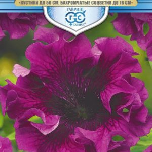 Петуния Титан пурпуровый бахр. 10 шт. пробирка, серия Русский богатырь Н18