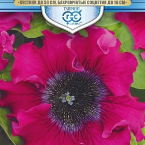 Петуния Титан Бордо 10 шт. пробирка, серия Русский богатырь Н18