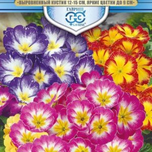 Примула Громадная смесь F1 5 шт. серия Русский богатырь Н18