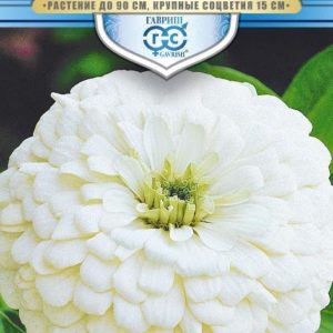 Цинния Великан белый 0,3 г, серия Русский богатырь Н18