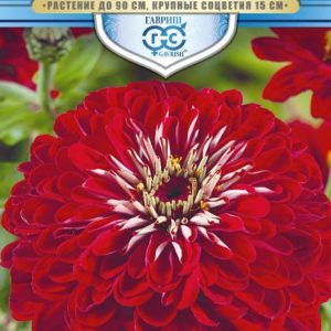 Цинния Великан красный 0,3 г, серия Русский богатырь Н18