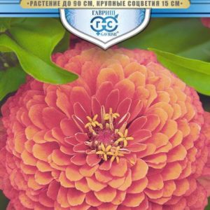 Цинния Великан лососевый 0,3 г, серия Русский богатырь Н18