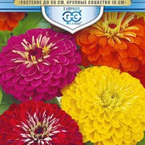 Цинния Смесь Великанов 0,3 г. серия Русский богатырь Н18