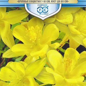 Аквилегия Желтый гигант, гибридная * 0,05 г. серия Русский богатырь Н18