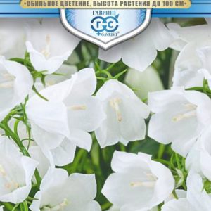 Колокольчик Белый Эльф, персиколистный* 0,1 г серия Русский богатырь Н18