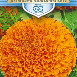 Бархатцы пр. Янтарь (30 см) (Тагетес) 0,1 г, серия Русский богатырь Н18