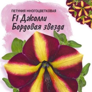 Петуния Джолли бордовая звезда F1 многоцв. 10 шт. гранул. пробирка, серия Фарао Н18