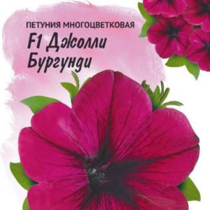 Петуния Джолли бургунди F1 многоцв. 10 шт. гранул. пробирка, серия Фарао Н18