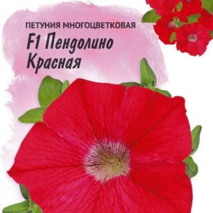 Петуния Пендолино красная F1 многоцв. 10 шт. гранул. пробирка, серия Фарао Н18