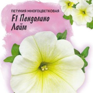 Петуния Пендолино лайм F1 многоцв. 10 шт. гранул. пробирка, серия Фарао Н18