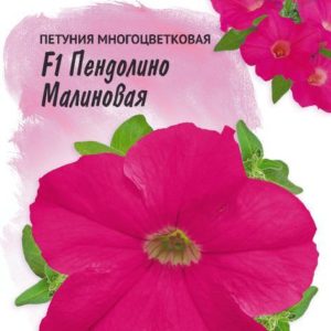Петуния Пендолино малиновая с глазком F1 многоцв. 10 шт. гранул. пробирка, серия Фарао Н18