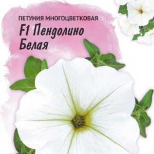 Петуния Пендолино белая F1 многоцв. 10 шт. гранул. пробирка, серия Фарао Н18