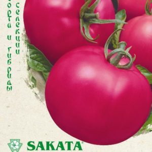Томат Пинк Райз F1 5 шт. (Саката) Н15