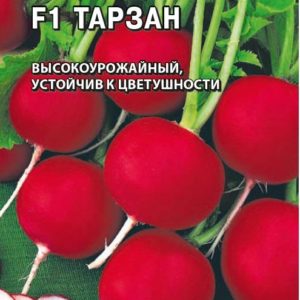 Редис Тарзан F1 0,5 г (Голландия)
