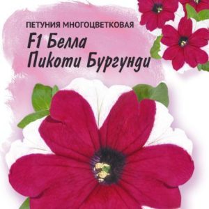 Петуния Белла Пикоти Бургунди F1 многоцв. 10 шт. гранул. пробирка, серия Фарао Н18