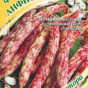 Фасоль Анфиса 5,0 г автор. Н19
