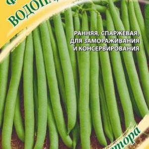 Фасоль Водопад зеленый 5,0 г автор. Н19
