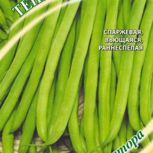 Фасоль Тенек-холодок 5,0 г автор. Н18