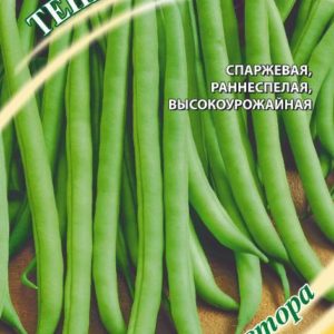 Фасоль Тень на плетень 5,0 г автор. Н18