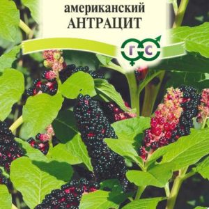 Лаконос американский Антрацит 0,1 г Н18