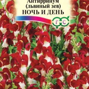 Львиный зев Ночь и день 0,1 г Н18