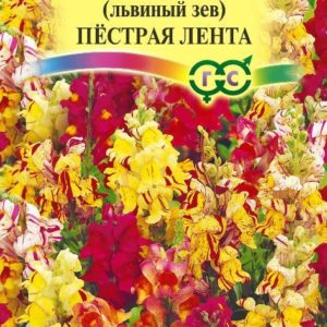 Львиный зев Пестрая лента (Антирринум) 0,1 г Н18
