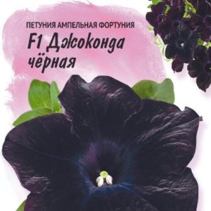 Петуния Джоконда чёрная F1 (Фортуния) многоцв. 10 шт. гранул. пробирка, серия Фарао Н18