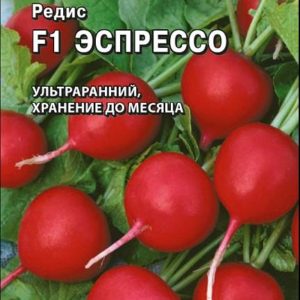 Редис Эспрессо F1 1 г (Германия) Н18
