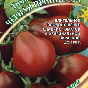 Томат Черная Принцесса 0,1 г автор. Н18