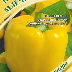 Перец Млечный путь 0,1 г автор. Н19