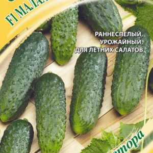 Огурец Малахитовый восторг F1 10 шт. автор. Н18