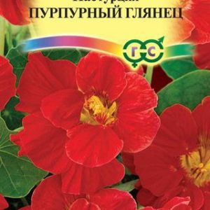 Настурция Пурпурный глянец махр. 7 шт.