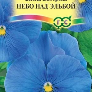 Виола Небо над Эльбой, Виттрока (Анютины глазки)* 0,1 г