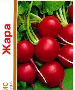 Редис Жара серия 1+1/5,0 г