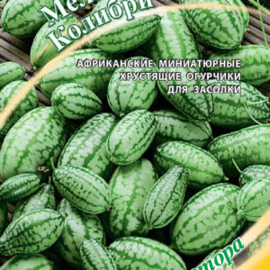 Мелотрия Колибри (мини-арбуз)* 20 шт. автор.