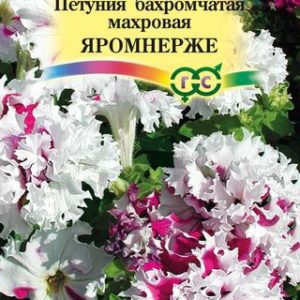 Петуния Яромнерже (Фриллитуния ) 10 шт. пробирка